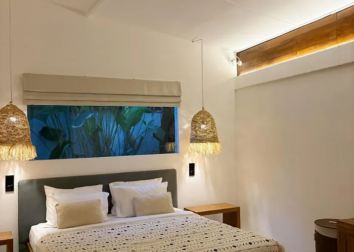 Zebra Seminyak, 4br Private Pool Villa, Close To Potato Head *