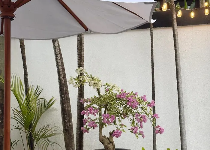 Villa Zebra Seminyak, 4br Private Pool Villa, Close To Potato Head Seminyak (Bali)